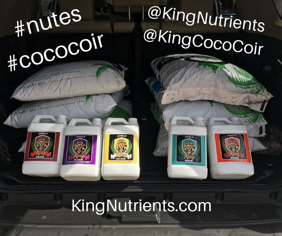 JPBgrown's tweet photo. @KingNutrients Loving the truckload of goodies there! #cannabisnutrients #nutes #nutrients #cannabis #growlife #growers #commercialgrow #growroom #grow #cococoir #cultivation #cannabisgrow #growlife #mmj #cannabiscultivation https://t.co/jqRrCXcUXG