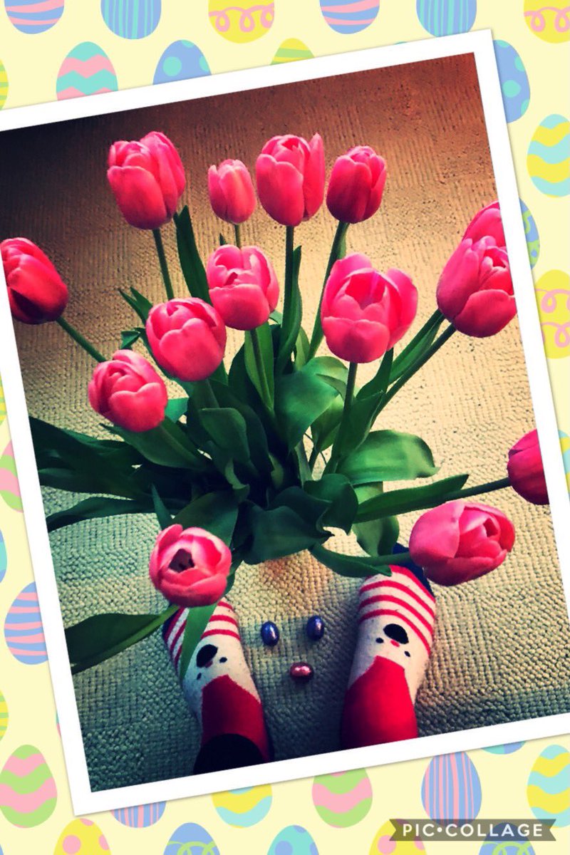 HopeSocks's tweet photo. Trommelgeroffel.....de winnaar van onze #socksofhope #paasactie.......wie gun jij wat extra #hoop met Pasen? Het is geworden: Ilona voor haar mama Sylvia. Veel plezier en fijne paasdagen. #payitforward https://t.co/p71PXRC2hO