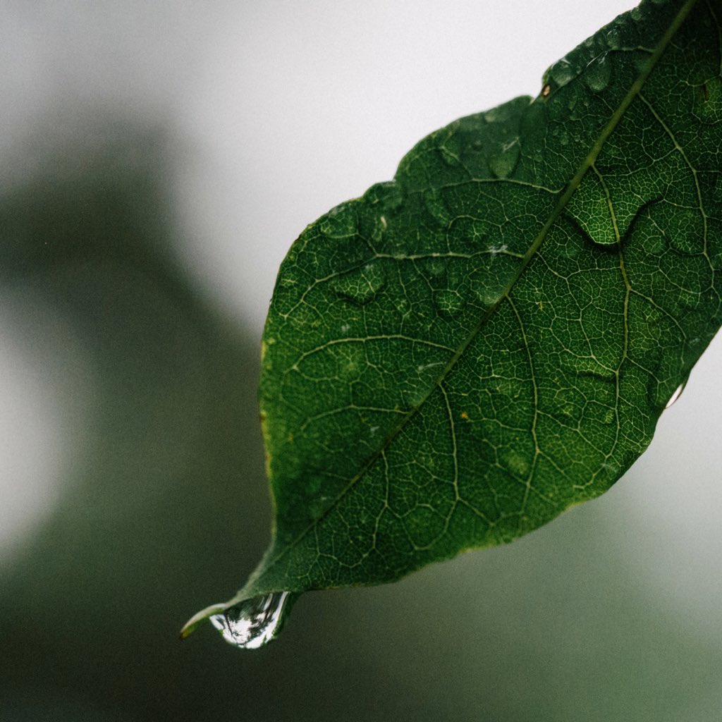 Today’s all about clean living .. clean body clean mind. Our organic approach to health allows you to work more productively. #WorldWaterDay #AlkalineWater #Ourspace #AmazingWorkspace