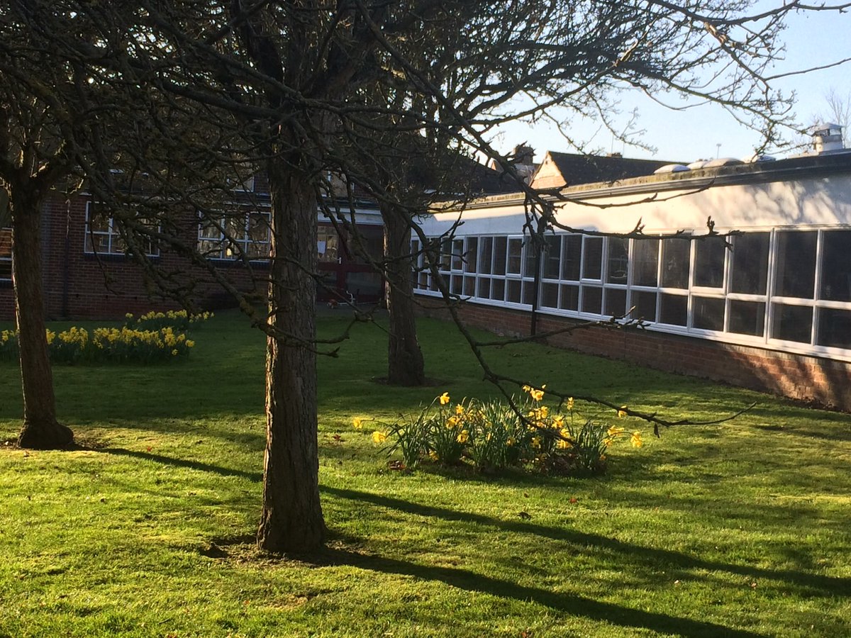 School looking very beautiful in its Spring colours this morning. Still a tad chilly though...
