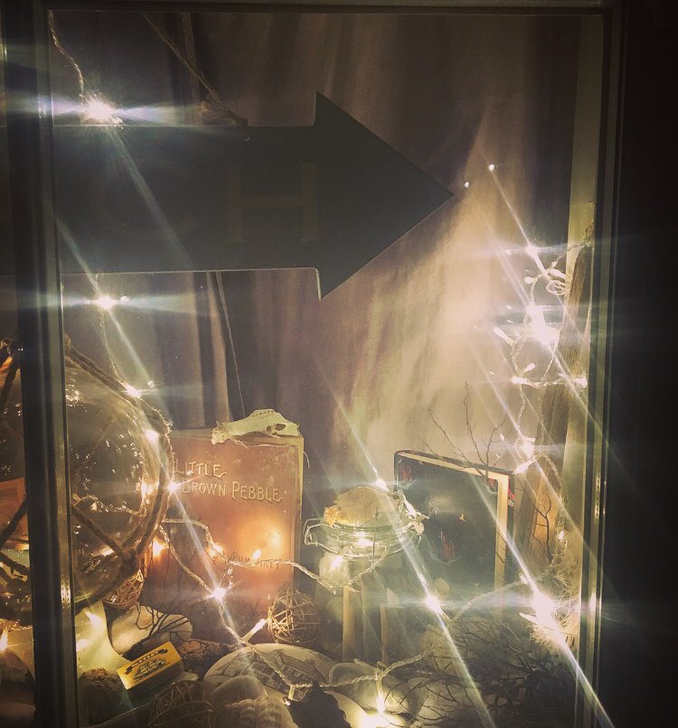 Agincare's tweet image. Sorry to miss the weekend events and hope the timer for my lights worked ok for @windowwander @friendsofbside 😬. The other images from #Portland windows look brilliant. Another great @bsidefest event for the community @mollyscar