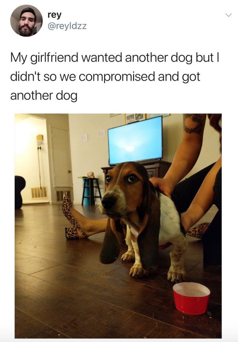 It's called "compromise"