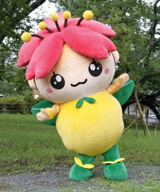 Hanami-chan, the mascot of Shibata Town, has a cherry blossom on