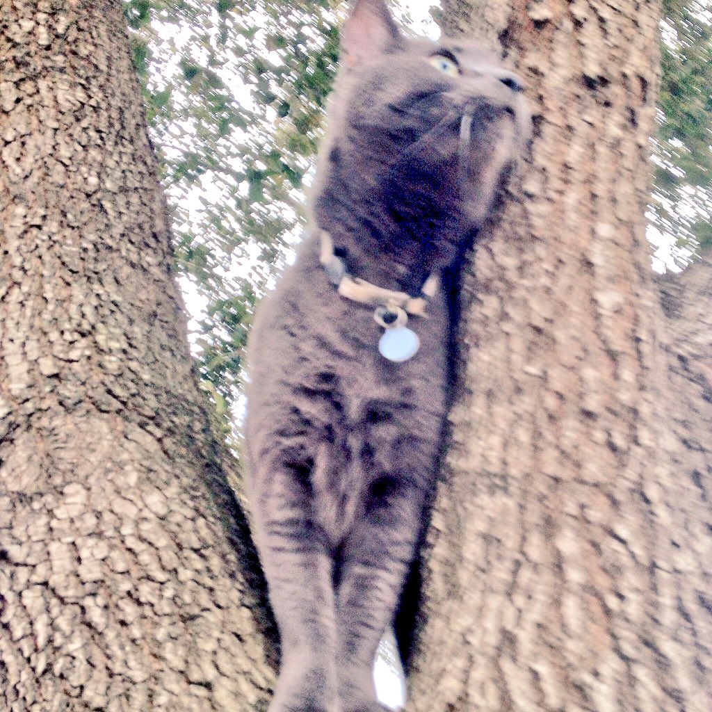 Tekles10 tweet media