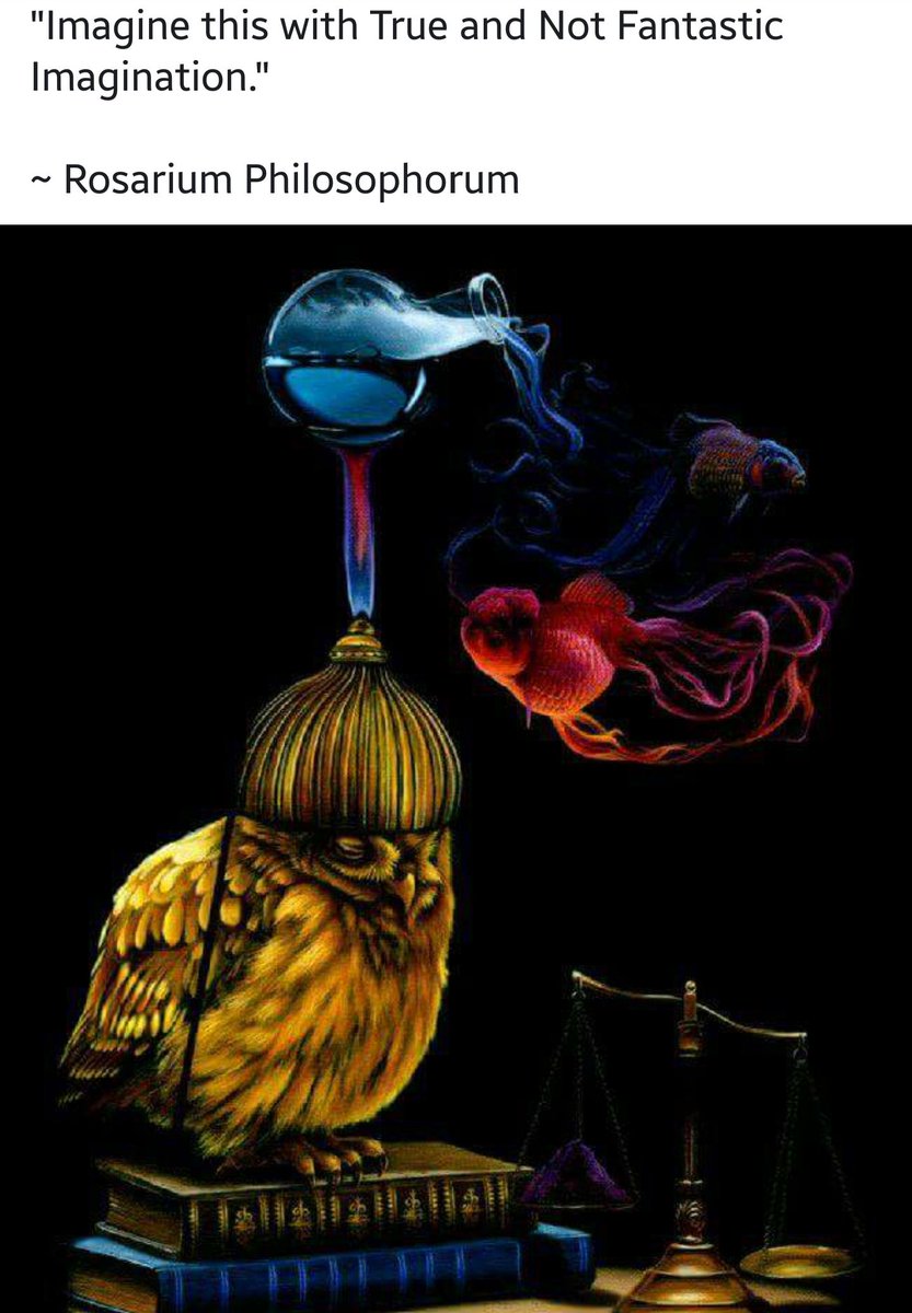 Jasmuna1's tweet photo. #Rosarium Philosophorum Advice

Backward, upside-down, slow-motion and time lapse.

#March is #Hermetica Month   

https://t.co/oCVrgncMef https://t.co/YeltOzP8yx