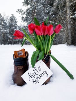 At Maitland Walker solicitors, based in Minehead, Taunton &amp; London we have a spring in our step despite losing an hours sleep and the fact more snow might be on the way!  #HelloSpring #MondayMotivation #Somerset #Taunton #Minehead