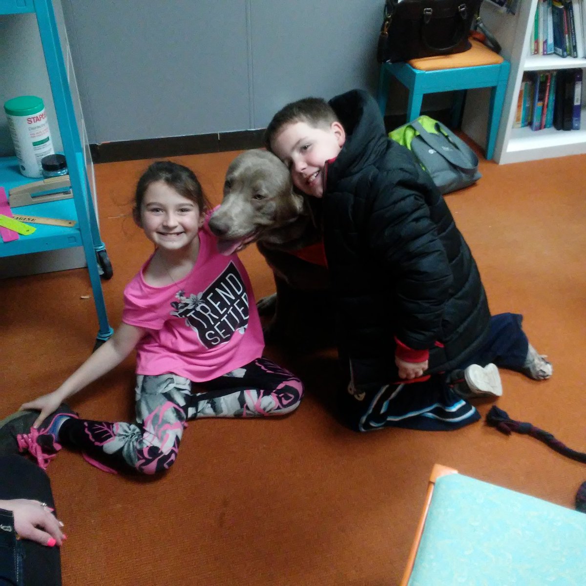 ScottiHagensick's tweet photo. Another awesome part of my career as a #SchoolCounselor! I had the chance to bring our 3rd grade #PBIS winners up to the middle school and meet Hank and Comet our therapy animals! @heathercoon_7 https://t.co/1JjFaTAJzc