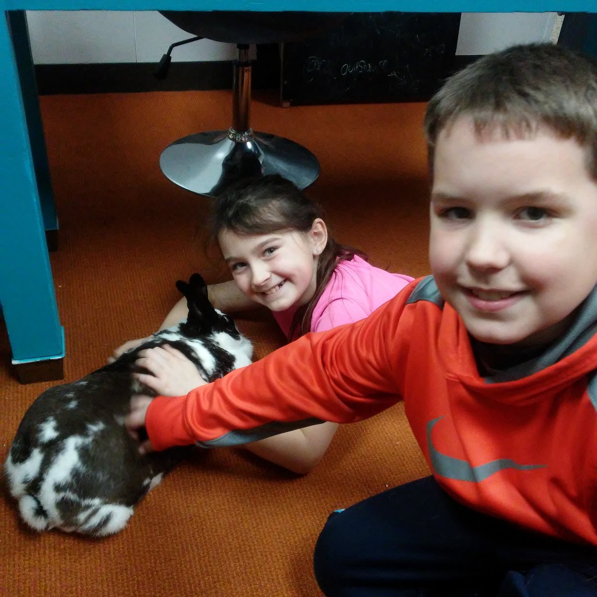ScottiHagensick's tweet photo. Another awesome part of my career as a #SchoolCounselor! I had the chance to bring our 3rd grade #PBIS winners up to the middle school and meet Hank and Comet our therapy animals! @heathercoon_7 https://t.co/1JjFaTAJzc