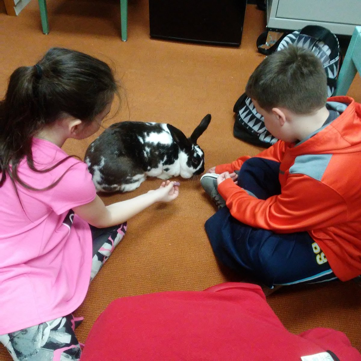 ScottiHagensick's tweet photo. Another awesome part of my career as a #SchoolCounselor! I had the chance to bring our 3rd grade #PBIS winners up to the middle school and meet Hank and Comet our therapy animals! @heathercoon_7 https://t.co/1JjFaTAJzc