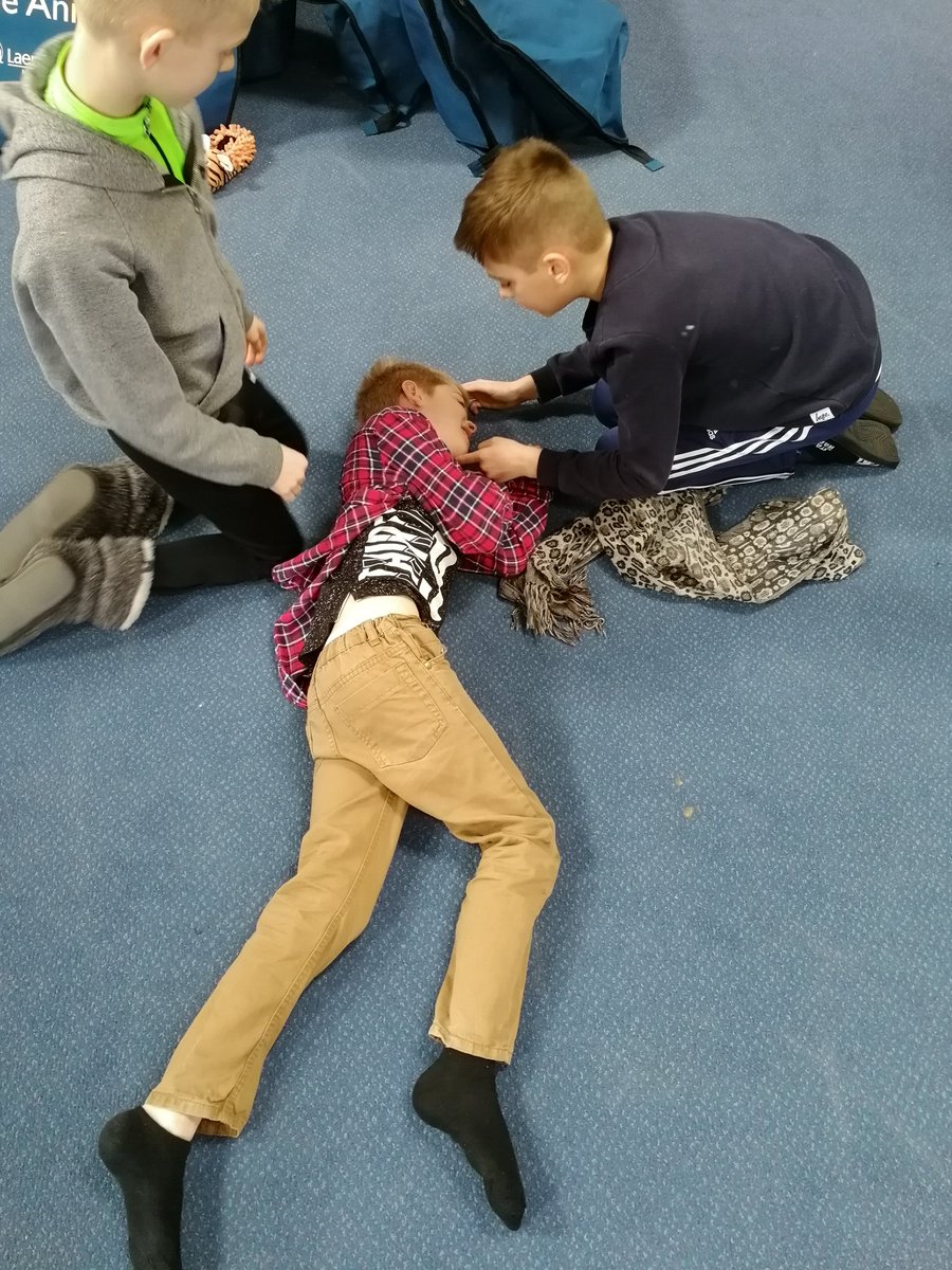 Learning first aid and putting children in the recovery position