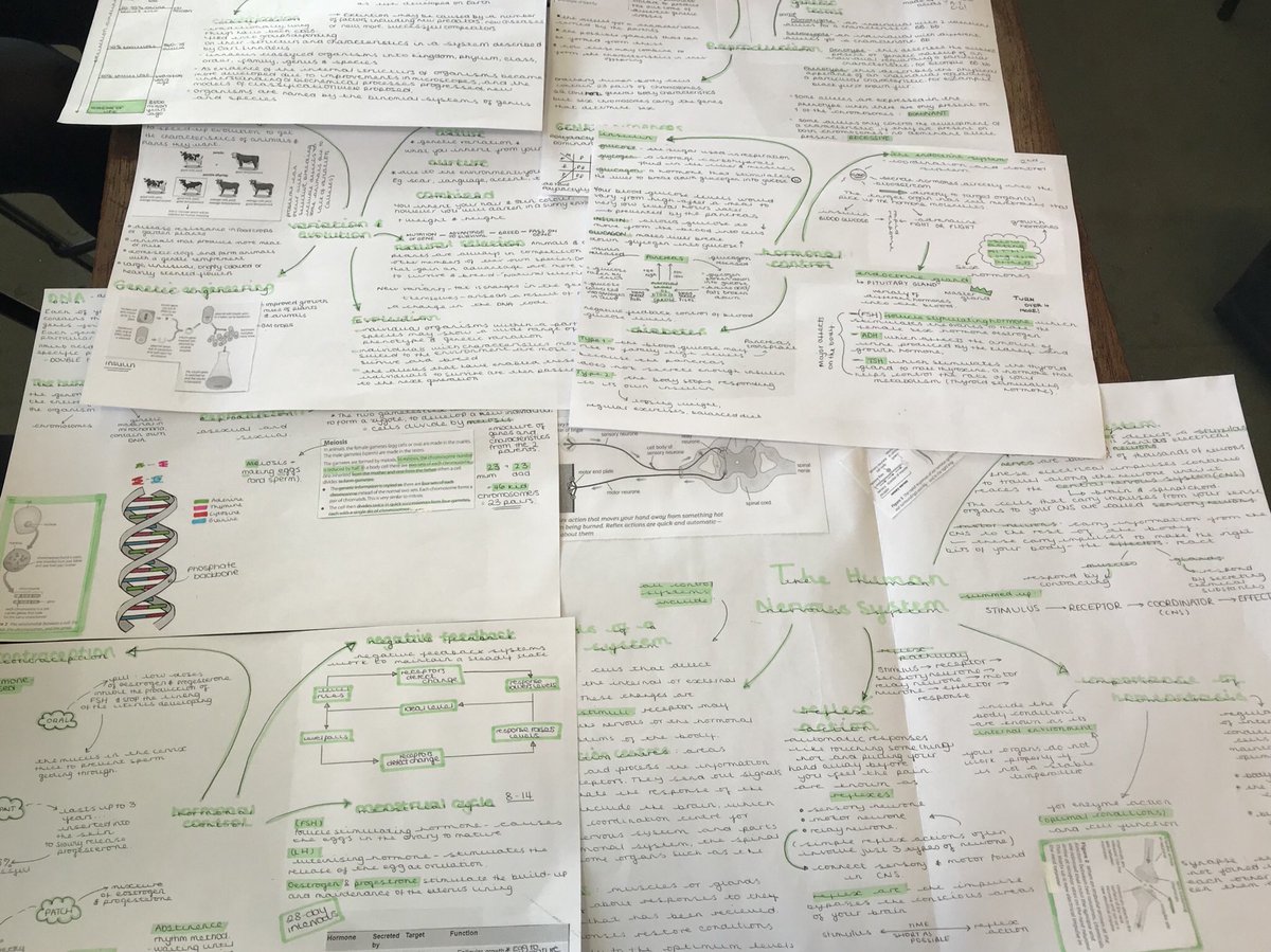 PPatelTMCS's tweet image. 11TB revising for their biology mocks during tutor #flashcards #revisiontechniques #GCSEscience #excellenteffort