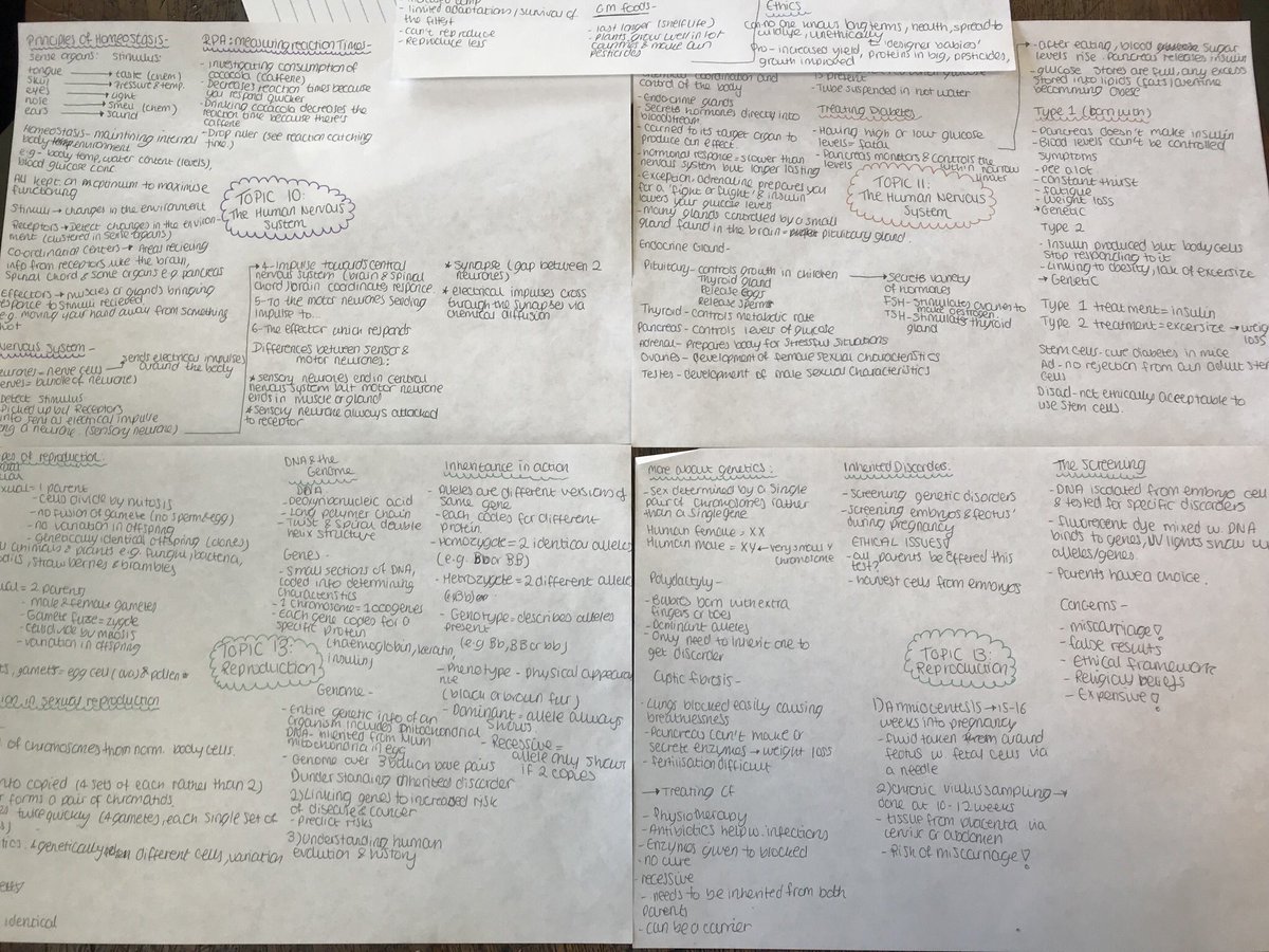 PPatelTMCS's tweet image. 11TB revising for their biology mocks during tutor #flashcards #revisiontechniques #GCSEscience #excellenteffort