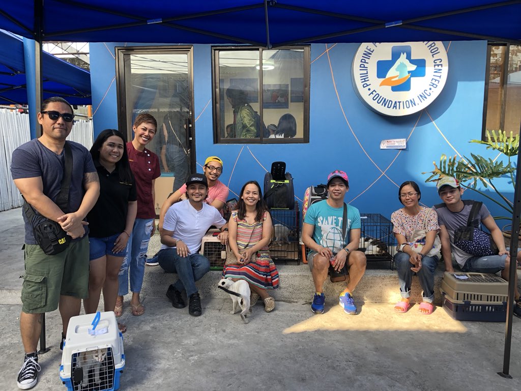 ppbcc_vet's tweet photo. Typical day at our Neuter Clinic #ppbcc #spayitforward #makingachangeincompanionanimalwelfare https://t.co/tjIMrIFTVN