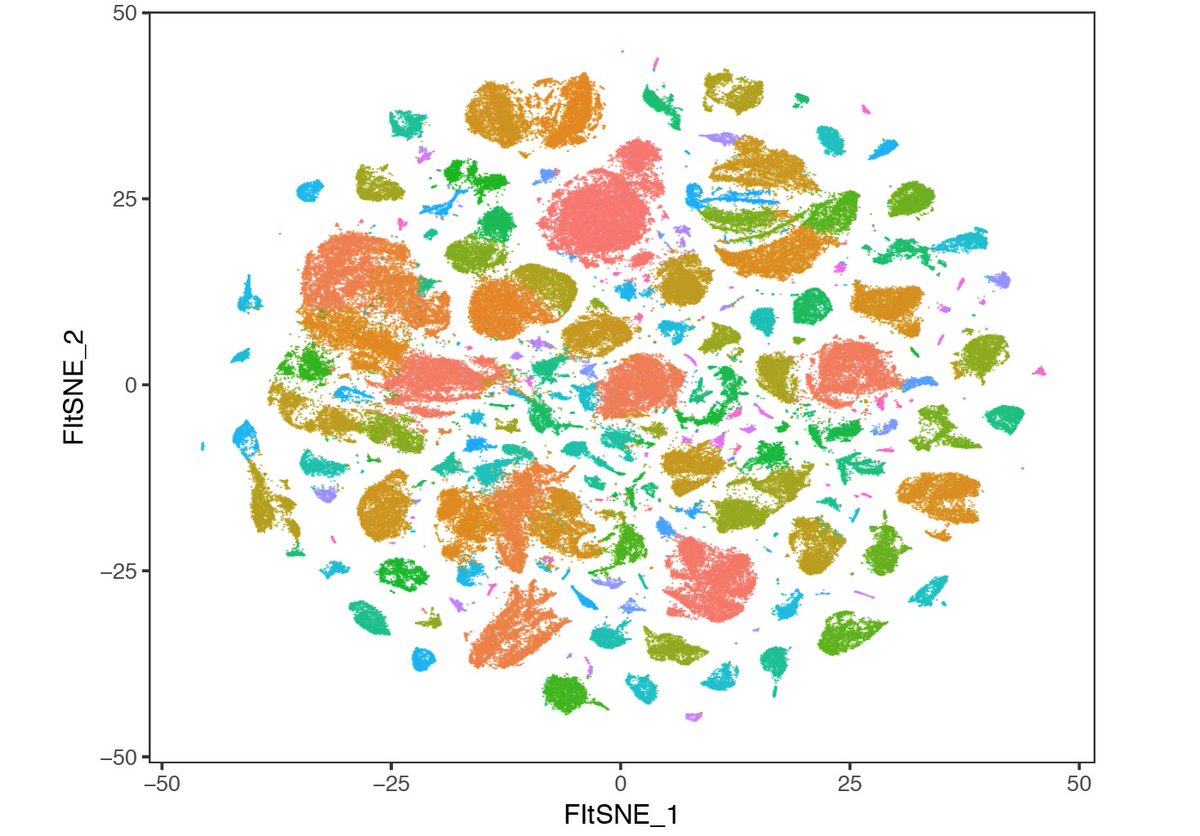 satijalab's tweet photo. We’ve significantly improved speed and memory efficiency in Seurat. Try out our new vignette, analyzing 250k cells from the microwell-seq mouse cell atlas in ~30 minutes: https://t.co/eR8p40FOEM https://t.co/SHPS1G0lvB