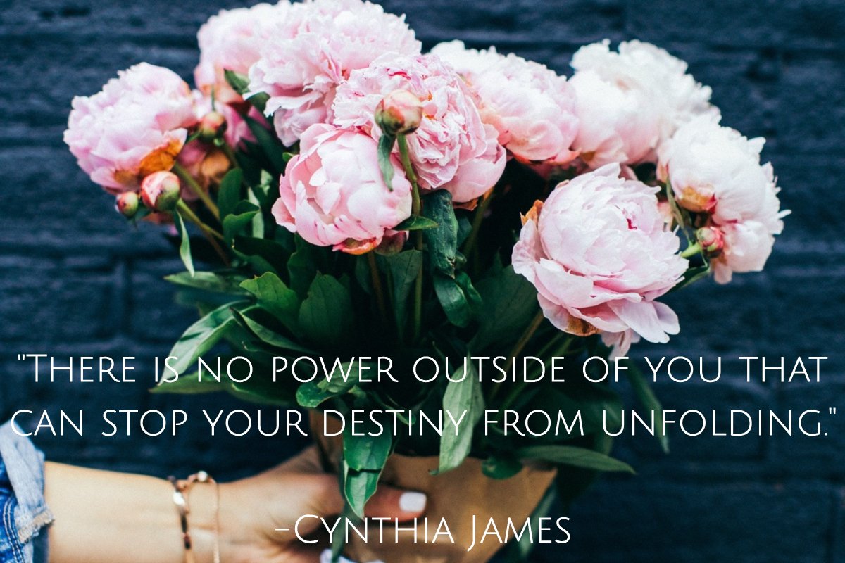 ELivingF's tweet photo. "There is no power outside of you that can stop your destiny from unfolding." -Cynthia James https://t.co/QGRjXwDb5Z