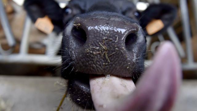 Congress just gave Big Ag the green light on pollution. ow.ly/dEva30j9NBg via <a href="/thehill/">The Hill</a>