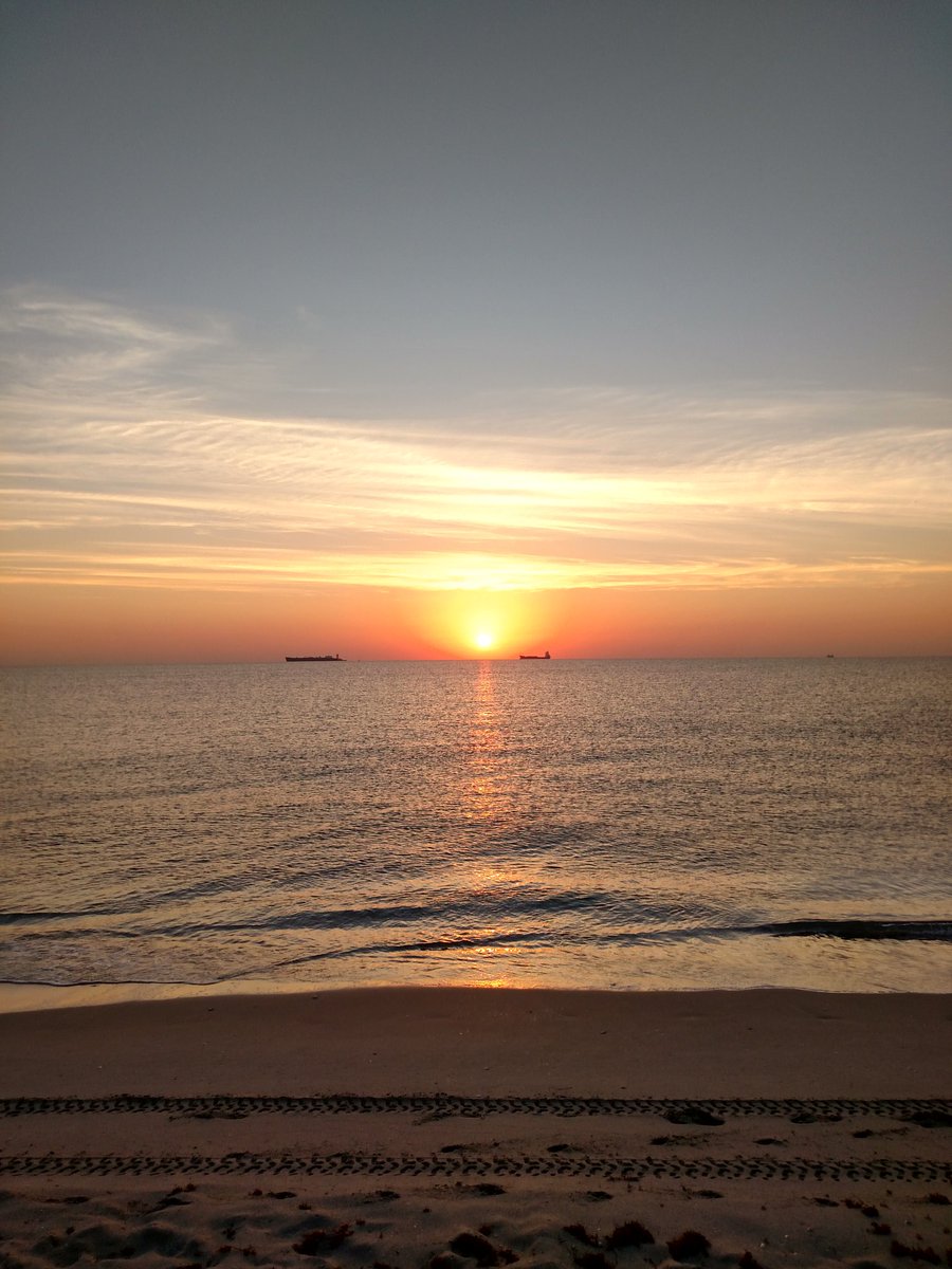 Greg Miller tweet media