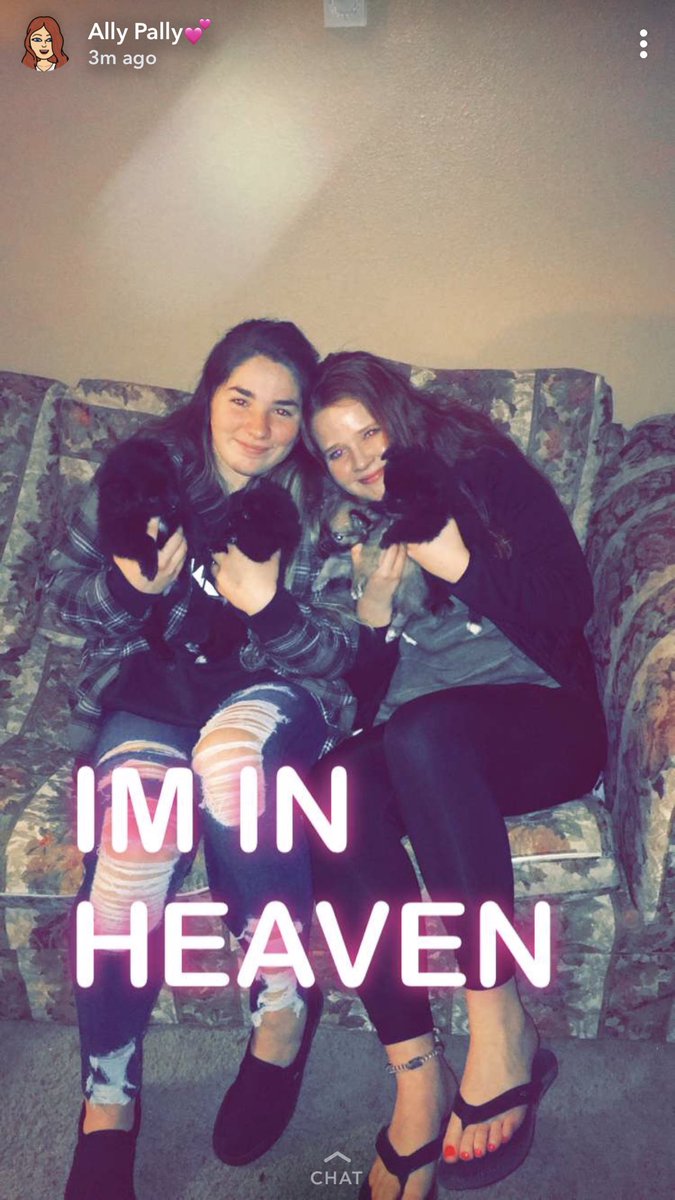 Shalene_T's tweet photo. 💕HAPPY BIRTHDAY GIRL💕 I’m so happy that you’re my bff and idk what’d I do with out you! I can’t believe you’re 17, they grow up so fast!! Hope you have the best day ever!!         ⚠️PSA⚠️ IF YOU SEE HER YOU BETTER TELL HER HAPPY BDAY🎂🎈🎁🎊 https://t.co/cVqVO1ySZw