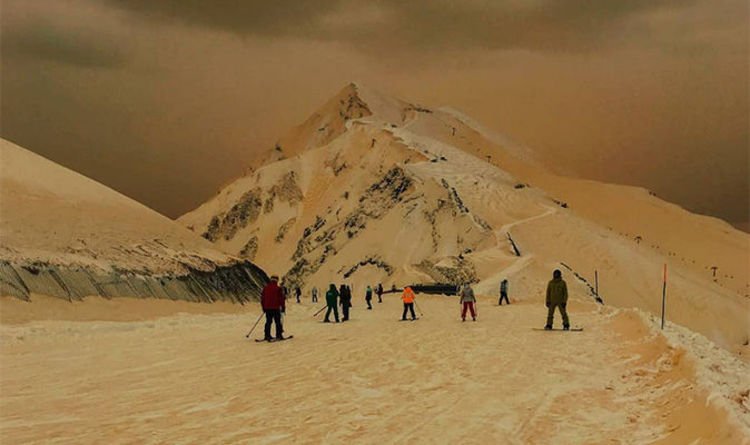 kenradio's tweet photo. Orange snow is falling in Eastern Europe. Sand from desert storms in the Sahara is mixing with snow and rain and falling in countries including Russia, Bulgaria, and Ukraine https://t.co/XX983YZUBN https://t.co/RWCSDgfic5