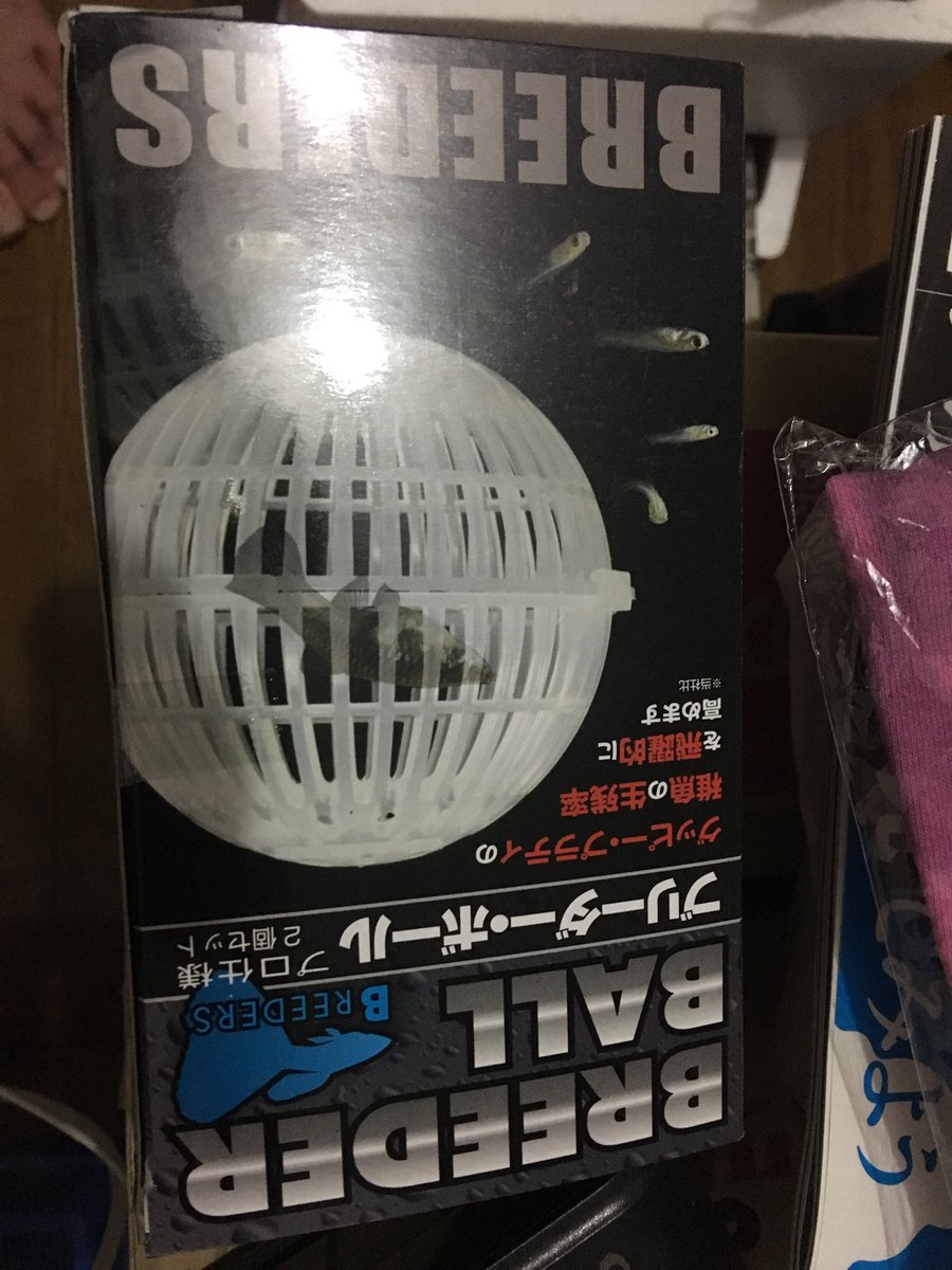 oyPSt1U4Bxl0mjf's tweet photo. 商品紹介。
ブリーダーボールです。
隙間から出ないサイズの個体なら
これで隔離できます。 https://t.co/JohJRvRxrI