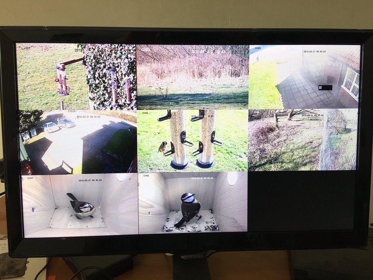 WildlifeGadgets's tweet photo. Spent the morning checking cameras at @Froizesuffolk. Activity is starting to build. Keeping our fingers crossed that at least one pair move in! #FroizeUncovered #LoveSuffolk #wildlifecams https://t.co/b8X6XE1Mqs