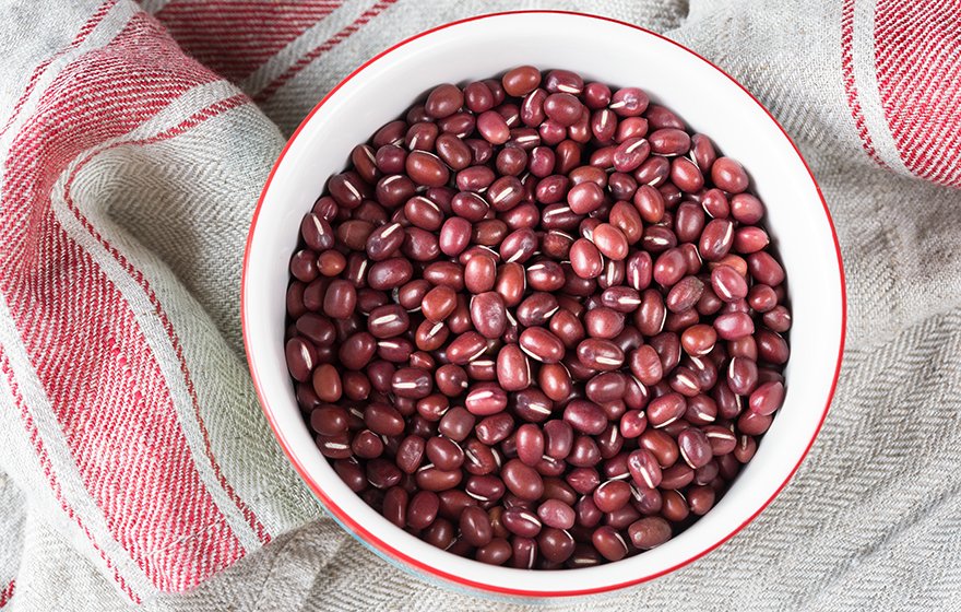 LifetimeDaily's tweet photo. Loaded with #protein #fiber #iron #manganese and #bvitamins, are adzuki beans the next big bean? https://t.co/1anQCpCy7h https://t.co/WveFjoZ5La
