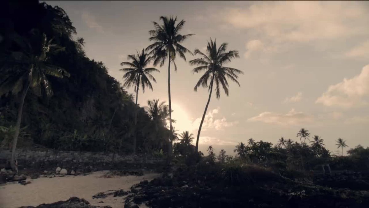 VisionTVPro's tweet image. من حلقات برنامج كاميرا ومدينة