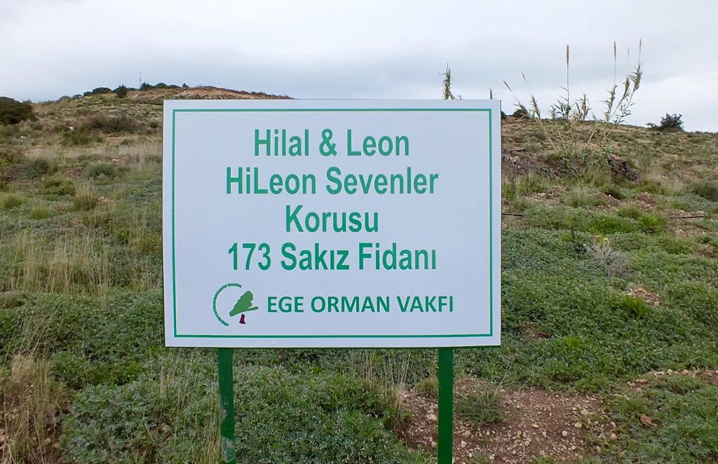 HiLeonSakiz's tweet photo. Floodumuzun ve projemizin sonuna geldik. Bu bir veda belki ama aslında yarınlara açılan bir kapı,  bir merhabanın girişindeyiz.... Güneşli, yeşil günlere merhaba #HiLeon ailesi...

#HiLeonSakızAğacı https://t.co/Eam3IBUgFR
