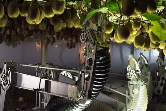 AgInnovationNZ's tweet photo. Yamaha invests in NZ kiwifruit robotics firm @Robotics_Plus https://t.co/LgsmEUMcQD #AgTech #AgTechNZ #Robotics https://t.co/qGJblnnhfU