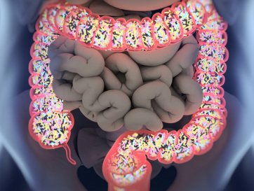 Diet, lifestyle outweigh genetic impact on gut microbiome. VitaFiber IMO, loaded with prebiotics that nourish the probiotics in your gut, is a great way to encourage the growth of healthy gut microbiomes. goo.gl/4trgZe