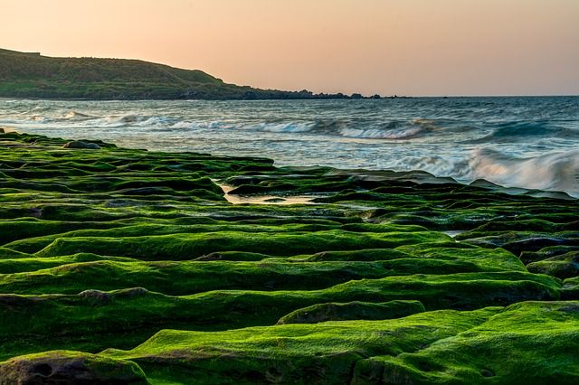 fltguru's tweet photo. #roundtrip #airfare ✈️ #deals: 
      #LGA-#CGK $1068, #MCO-#KUL $1111, #LAS-#CAN $574, #DFW-#LAS $111. more at https://t.co/Yjn8cDFITP https://t.co/tnmiwIQDSX
