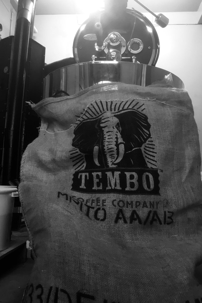 MPITO, Tanzania - We have this stunning washed bourbon coming on at all three of our specialty coffee shops tomorrow #fincadorchester #fincayeovil #fincapoundbury - delicious as espresso or with milk. Finca, Dorchester’s specialty coffee shop and roaster.