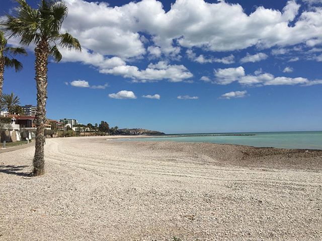 VimyAcademy's tweet photo. #greenandgoldsoccer #vimysoccer girls have arrived in #bennicassim ...Beautiful #beach Beautiful #soccer. We couldn’t ask for more. #vimyproud #ns #epsb #yeg https://t.co/RMcnFVVDDk