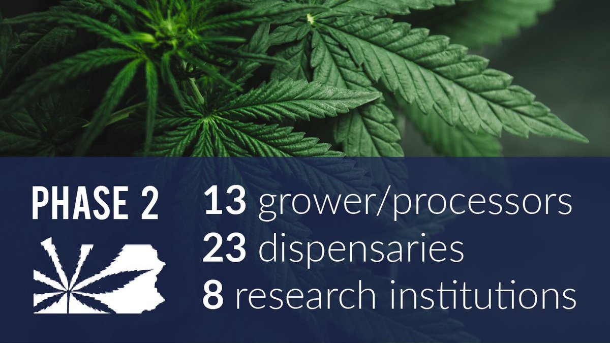 Applications for Phase 2 open on April 5th. When Phase 2 rolls out, the program will more than double from its current number of licensed institutions. Check out the details below.  👇👇👇