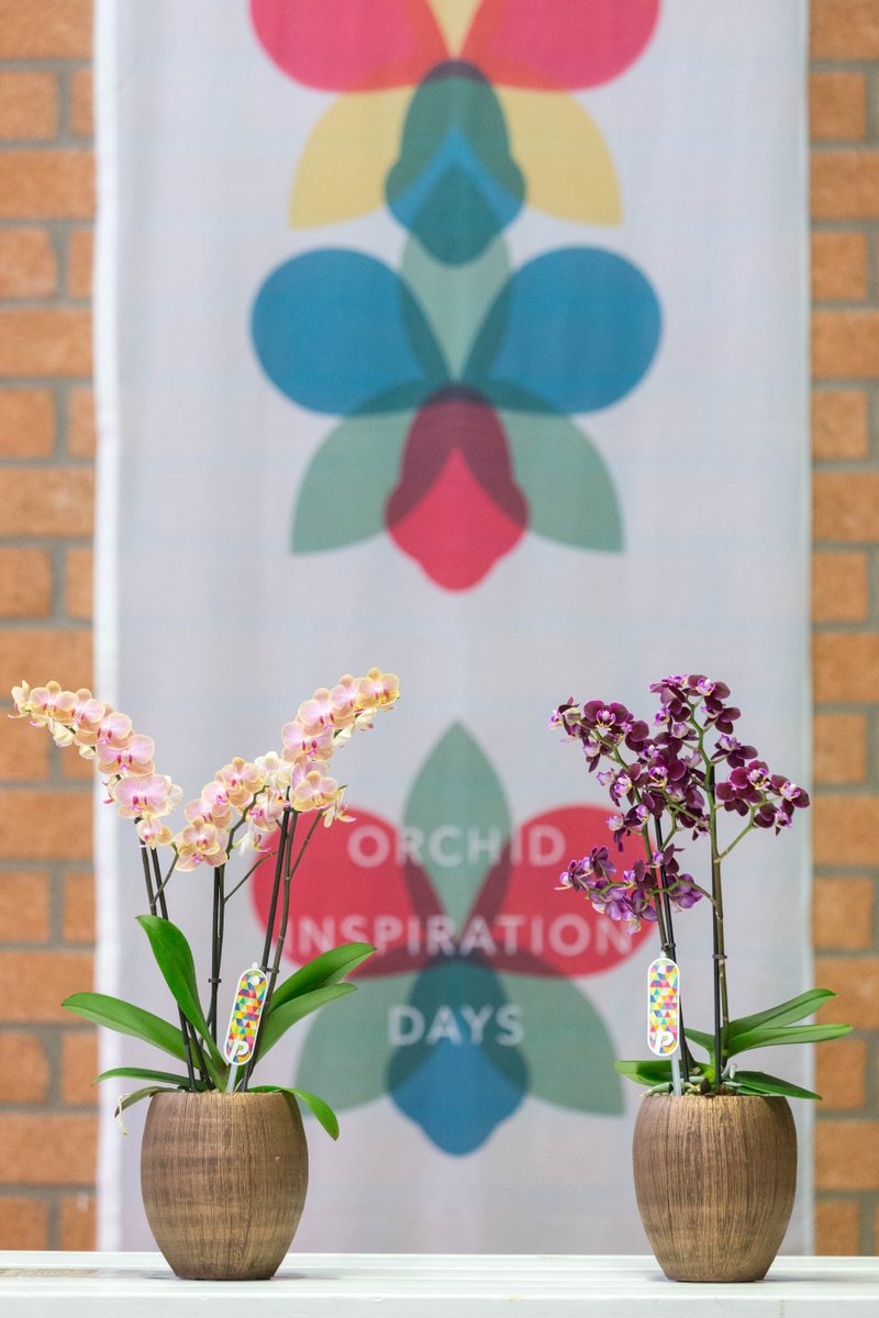 ORCHID INSPIRATION DAYS | Do you remember how surprising last year’s orchid events were? This year we’re taking it up a notch! Watch our aftermovie of last year here: ow.ly/EiVz30j9Dpd. #OID