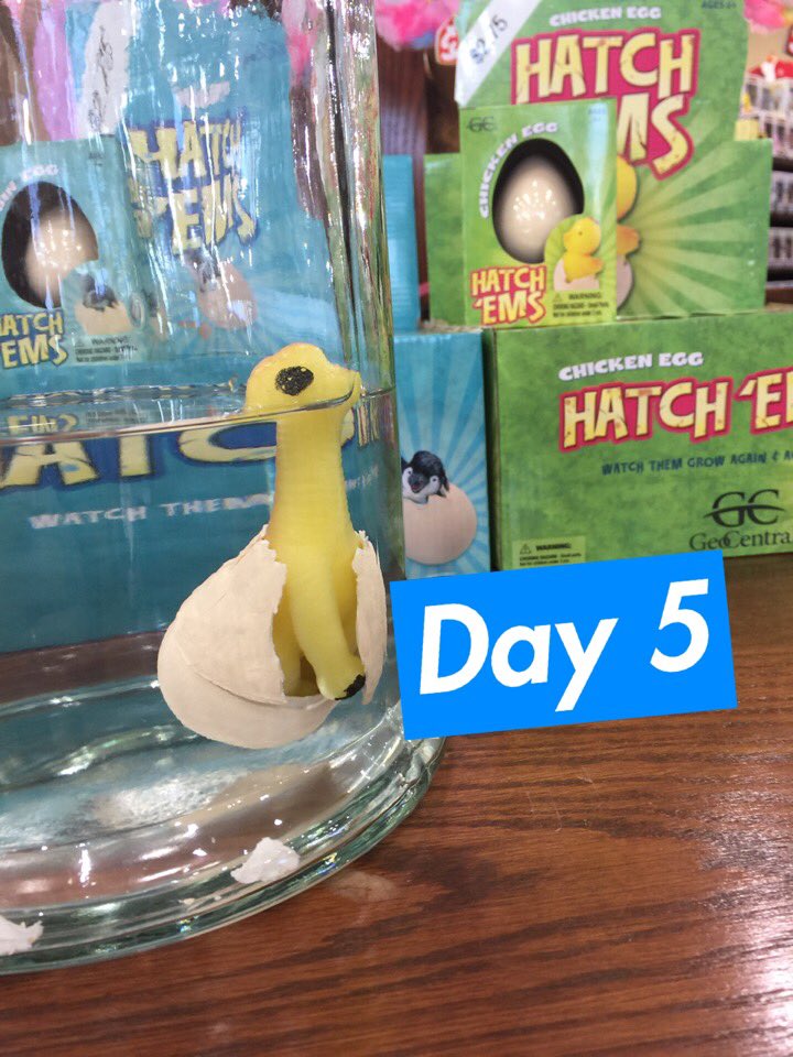 hatchems dinosaur