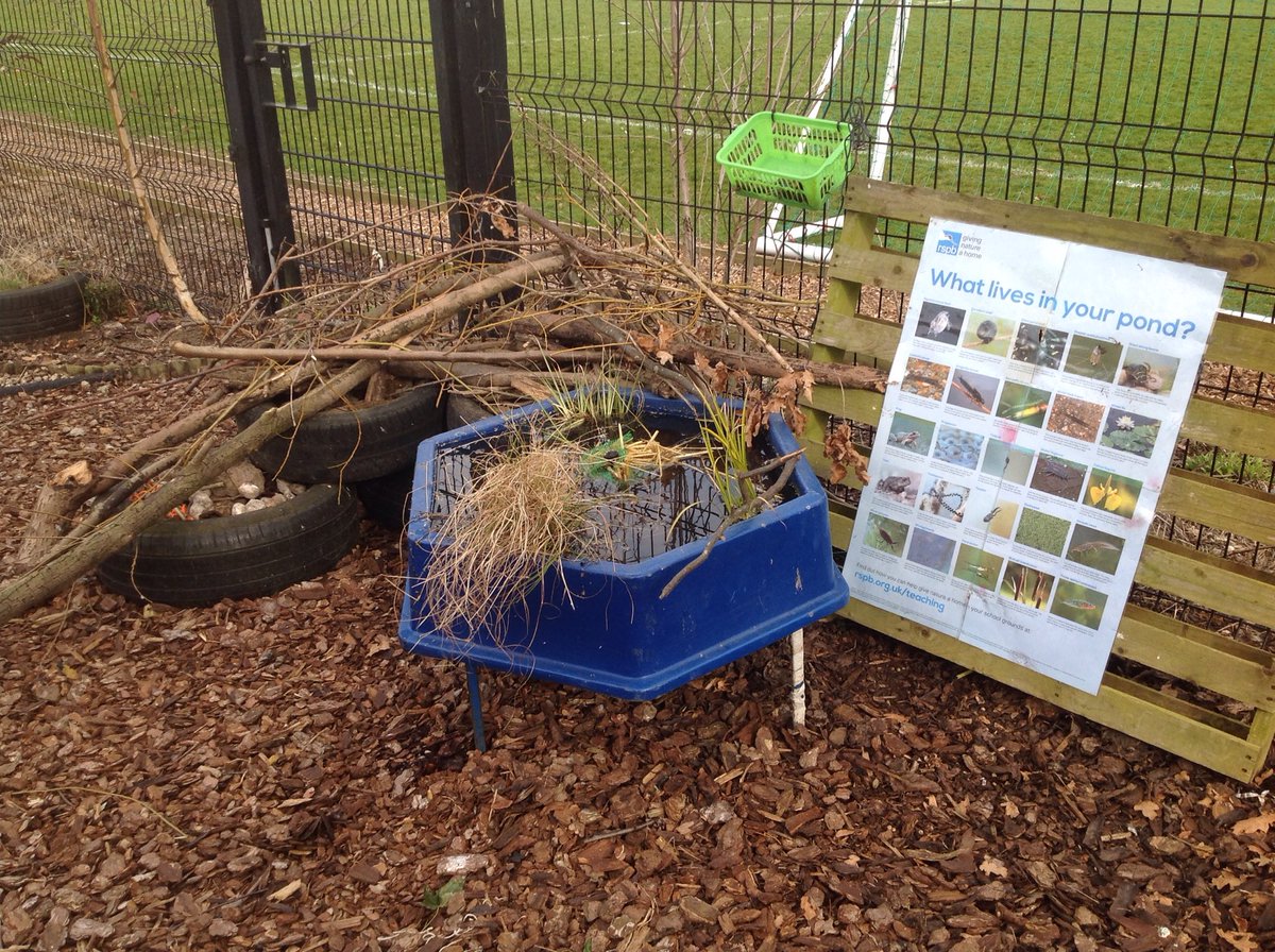 The Hedgehogs have been super busy all day creating a wildlife pond in our nature area. It has a little solar powered fountain in the middle. We are looking forward to catching some tadpoles to put in it. #wildlifeheros @GreatOaksFed