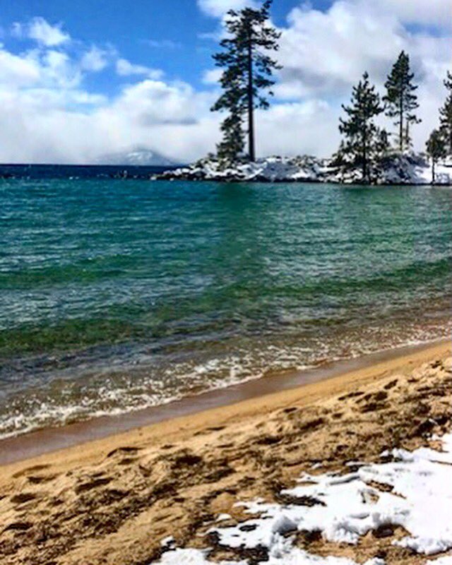 JillShalvis's tweet photo. My #amwriting view. #effingcold https://t.co/oVUVdfGYez