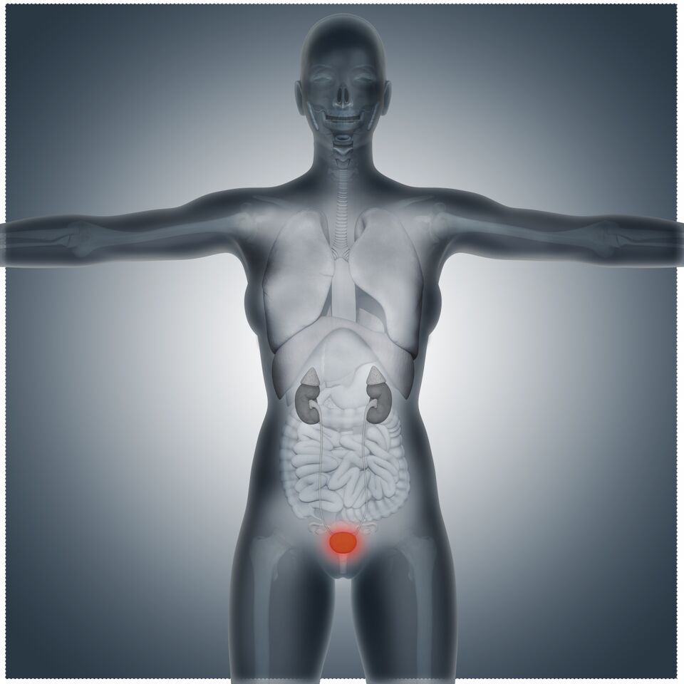 ArquerDx's tweet photo. Boost your chances of survival by Staying One Step Ahead Of Bladder Cancer with the help of the Arquer Diagnostics blog. https://t.co/0XvkKmgOjo
#Arquer #ArquerDx #ArquerDiagnostics #medical #science #health #cancer #oncology #diagnostics #like #follow #blog #bladdercancer https://t.co/ZAXYS6Ctju