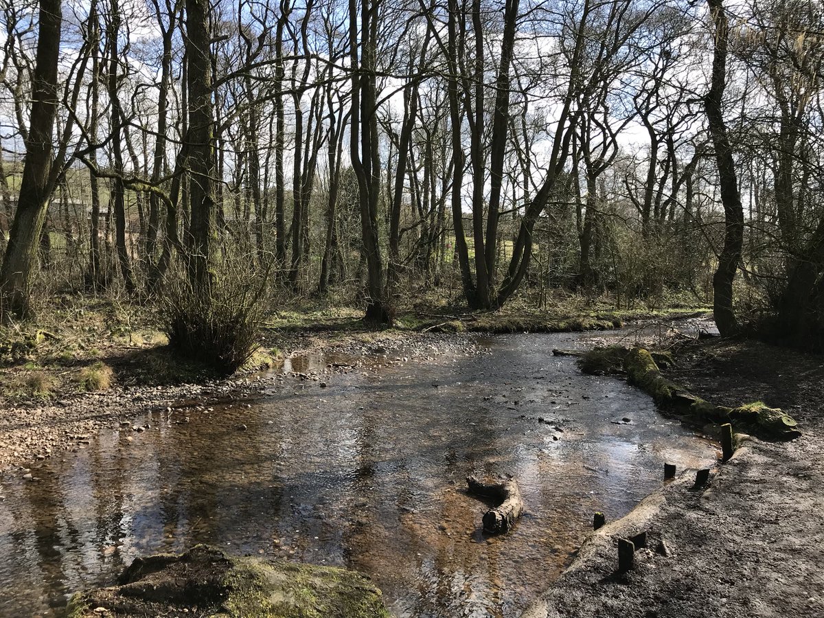 DebsRWalton's tweet photo. Lovely walk and pub lunch #downsbanks #barlaston https://t.co/ER0LWKcvit