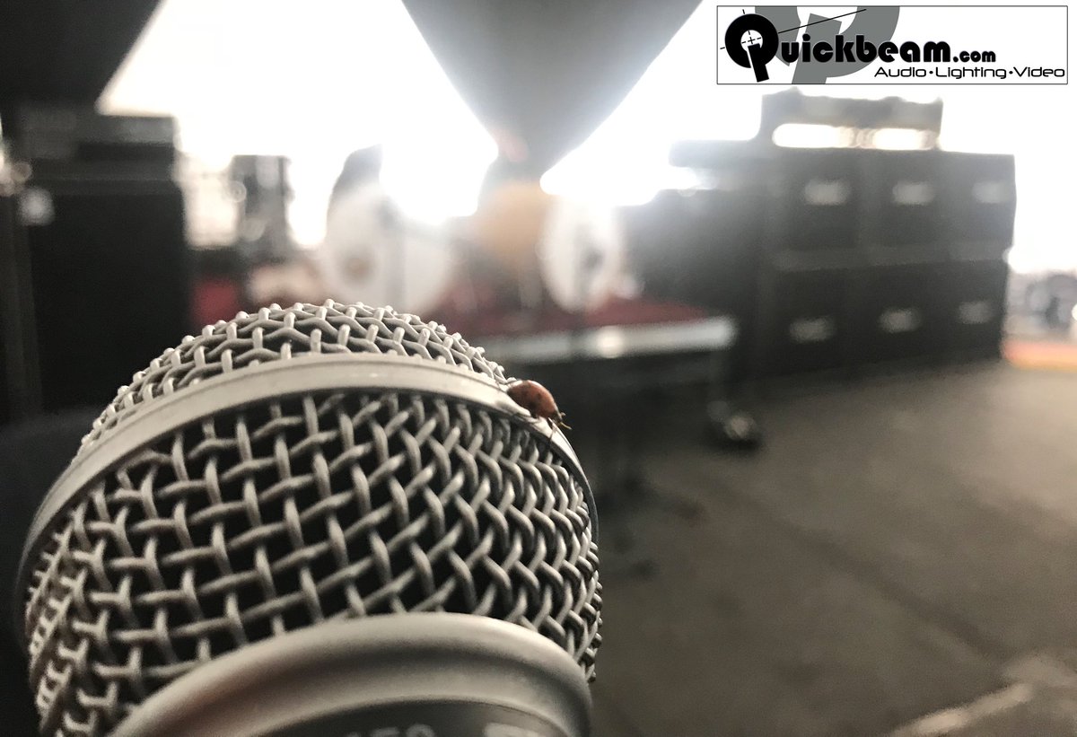 #MicrophoneMonday
🎤🐞
#microphonemondays 
#Quickbeam #Albuquerque 
#NM #newmexico 
#shure #ladybug #microphone #mic