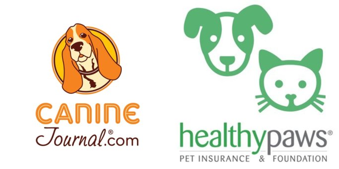 best dog insurance 2018