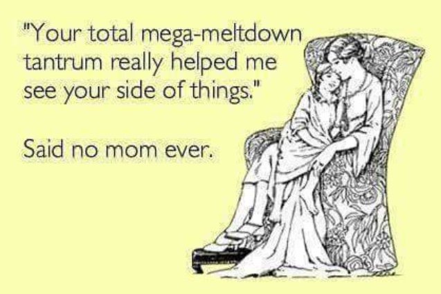 AnnapPeds's tweet image. Learn about children&apos;s brain development and managing parental expectations in tomorrow&apos;s Understanding Behavior session. This class was extended a week due to last week&apos;s snow. More details at annapolispediatrics.com/events/ #understandingbehavior #MemeMonday