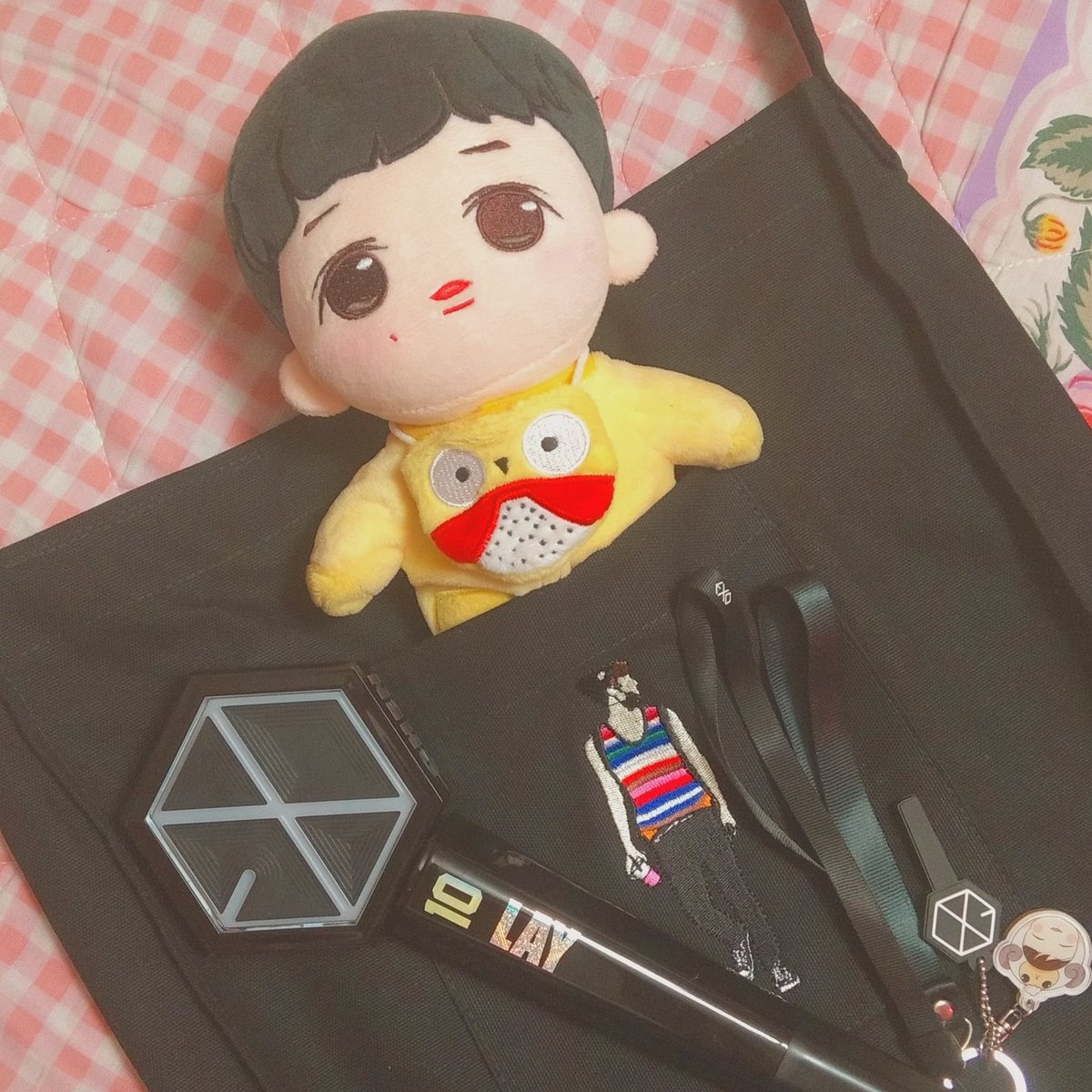 emmadonnamoon's tweet photo. ¿Cuál prefieren?,  yo no puedo escoger sólo a uno con facilidad 💜💚.
#EXODOLL #EXOBAG @weareoneEXO https://t.co/VwkwrdFAcB