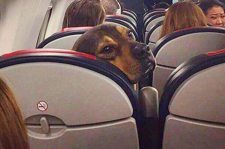 When you're traveling and hear someone else say "y'all".