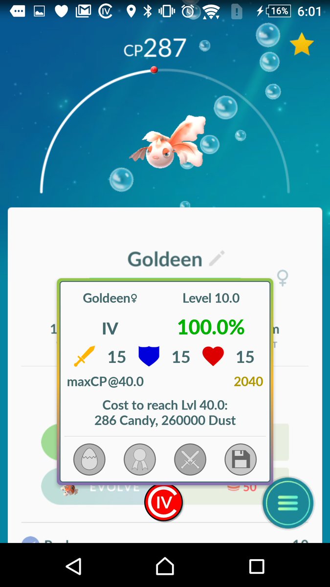 MarionEveni2018's tweet photo. This is one catch i can't complain about 100% Goldeen, caught on Community Day ๐ฑ๐ฑ
#PokรจmonGo #Pokรจmon #Communityday
#EarlyBirthday #PresentToMe https://t.co/J6mE7aCcxC
