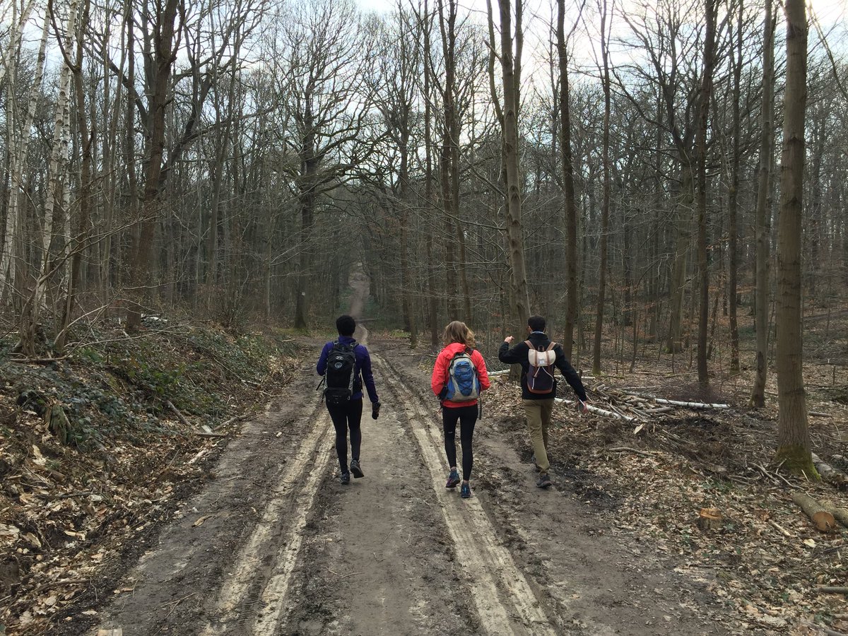 LesShowScet's tweet photo. Entraînement des chaussettes dans la forêt de meudon pour l’Oxfam Trailwalker, on intensifie l’effort #30km #1000mdedénivelé https://t.co/Q4i7whYN2l