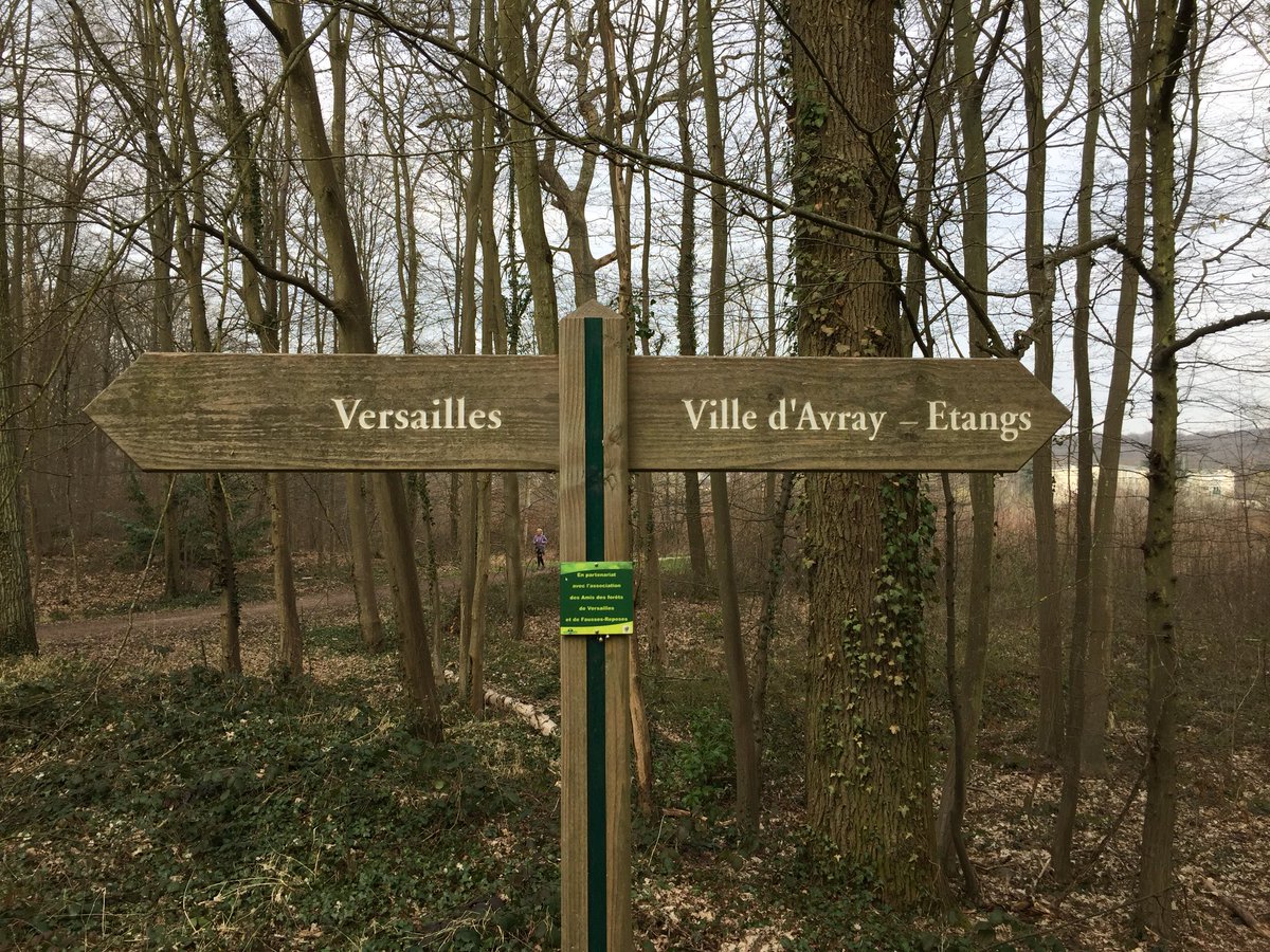 LesShowScet's tweet photo. Entraînement des chaussettes dans la forêt de meudon pour l’Oxfam Trailwalker, on intensifie l’effort #30km #1000mdedénivelé https://t.co/Q4i7whYN2l