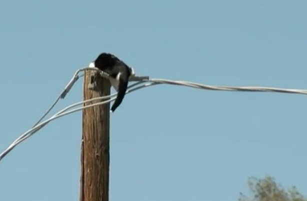 View image on Twitter