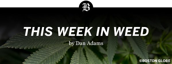 NE_CANN's tweet photo. Click thru for a comprehensive report on #NECANN18 from #ThisWeekOnWeek + @BostonGlobe + @Dan_Adams86 

"I had conversations with dozens of people from all walks of life over the weekend, and they were thoughtful, kind, and professional to a person."

https://t.co/HqZfCz33Eh https://t.co/3E1TOe9jH4